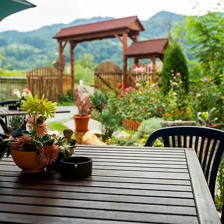 Pension Agnes Vişeu de Sus Exteriör bild