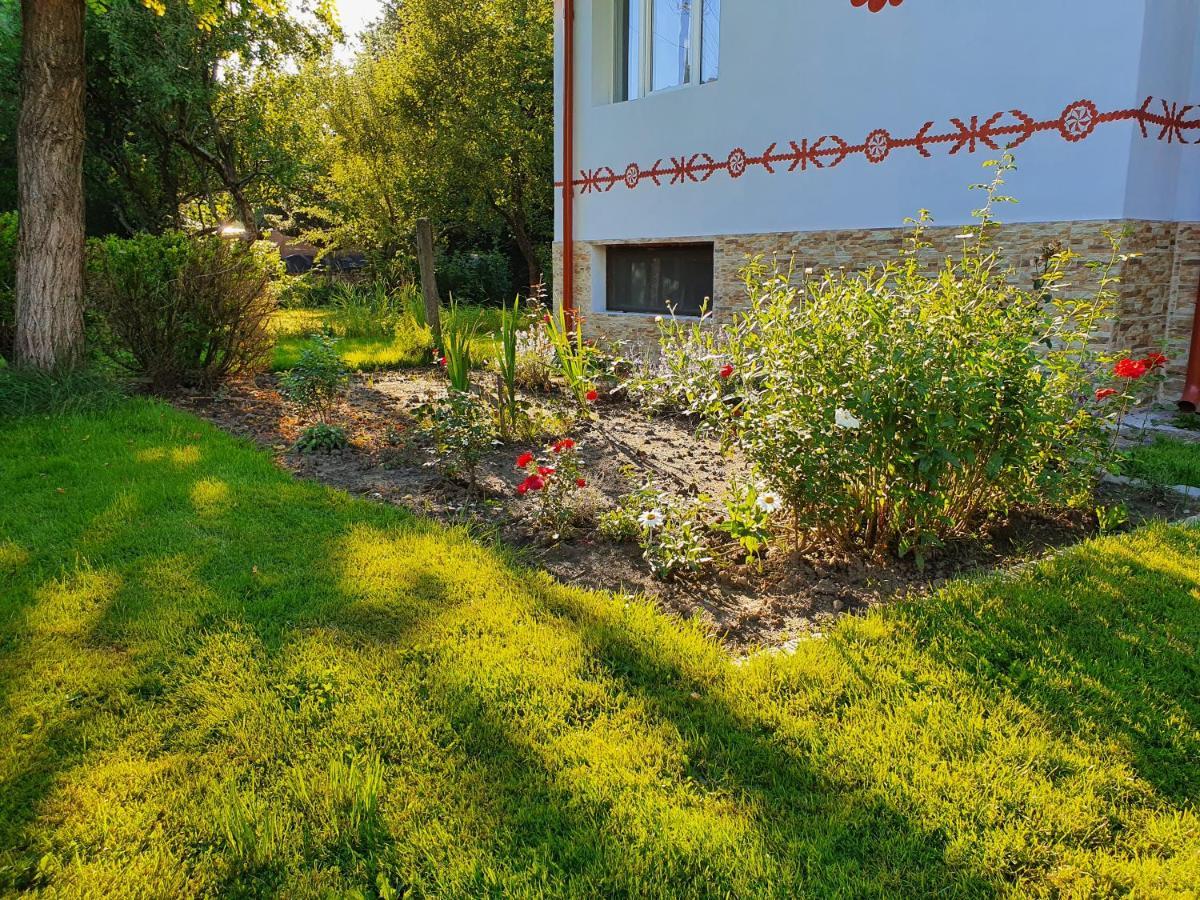 Pension Agnes Vişeu de Sus Exteriör bild