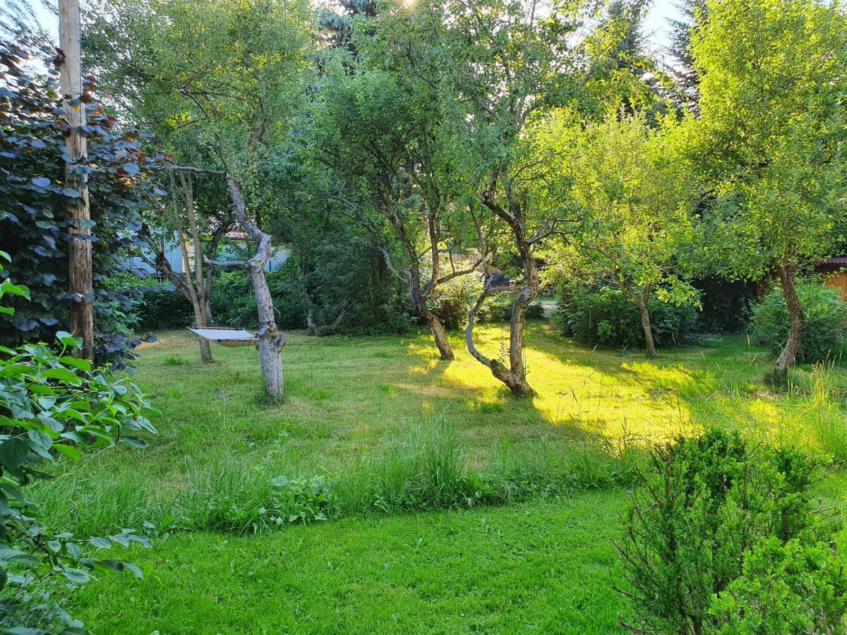 Pension Agnes Vişeu de Sus Exteriör bild