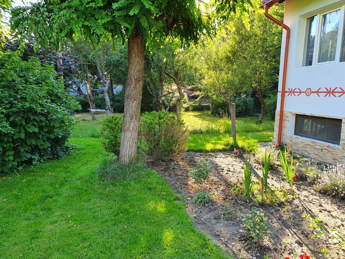 Pension Agnes Vişeu de Sus Exteriör bild
