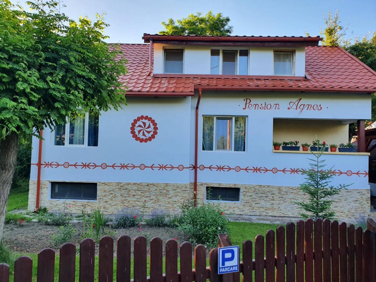 Pension Agnes Vişeu de Sus Exteriör bild