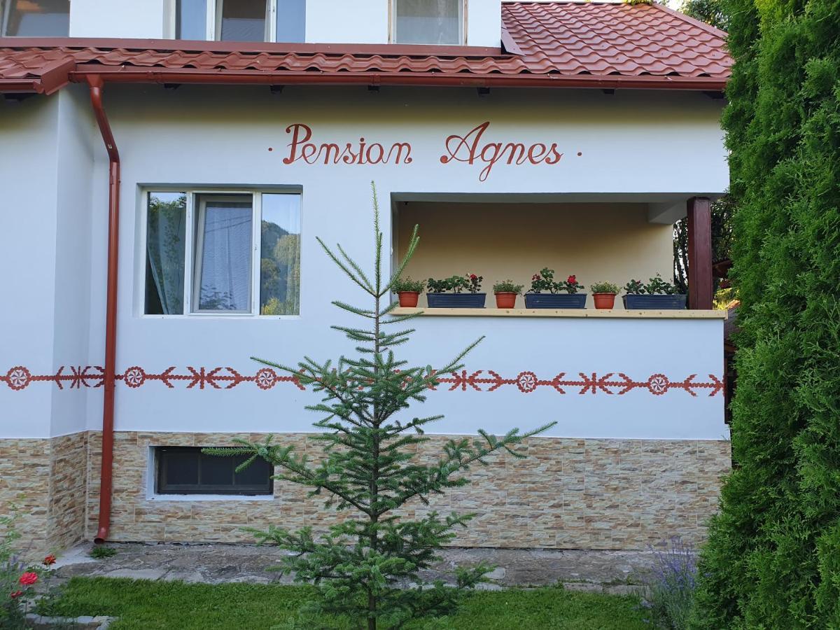 Pension Agnes Vişeu de Sus Exteriör bild