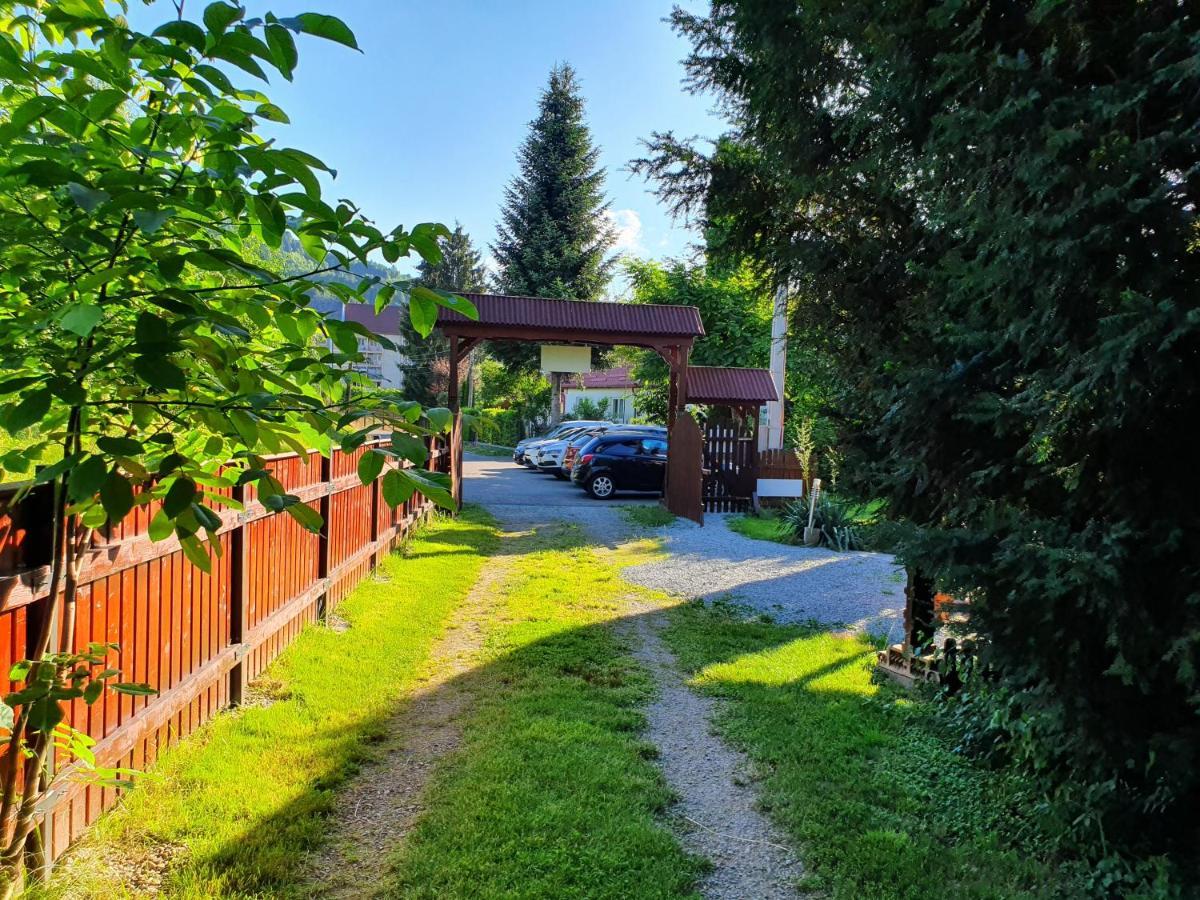 Pension Agnes Vişeu de Sus Exteriör bild