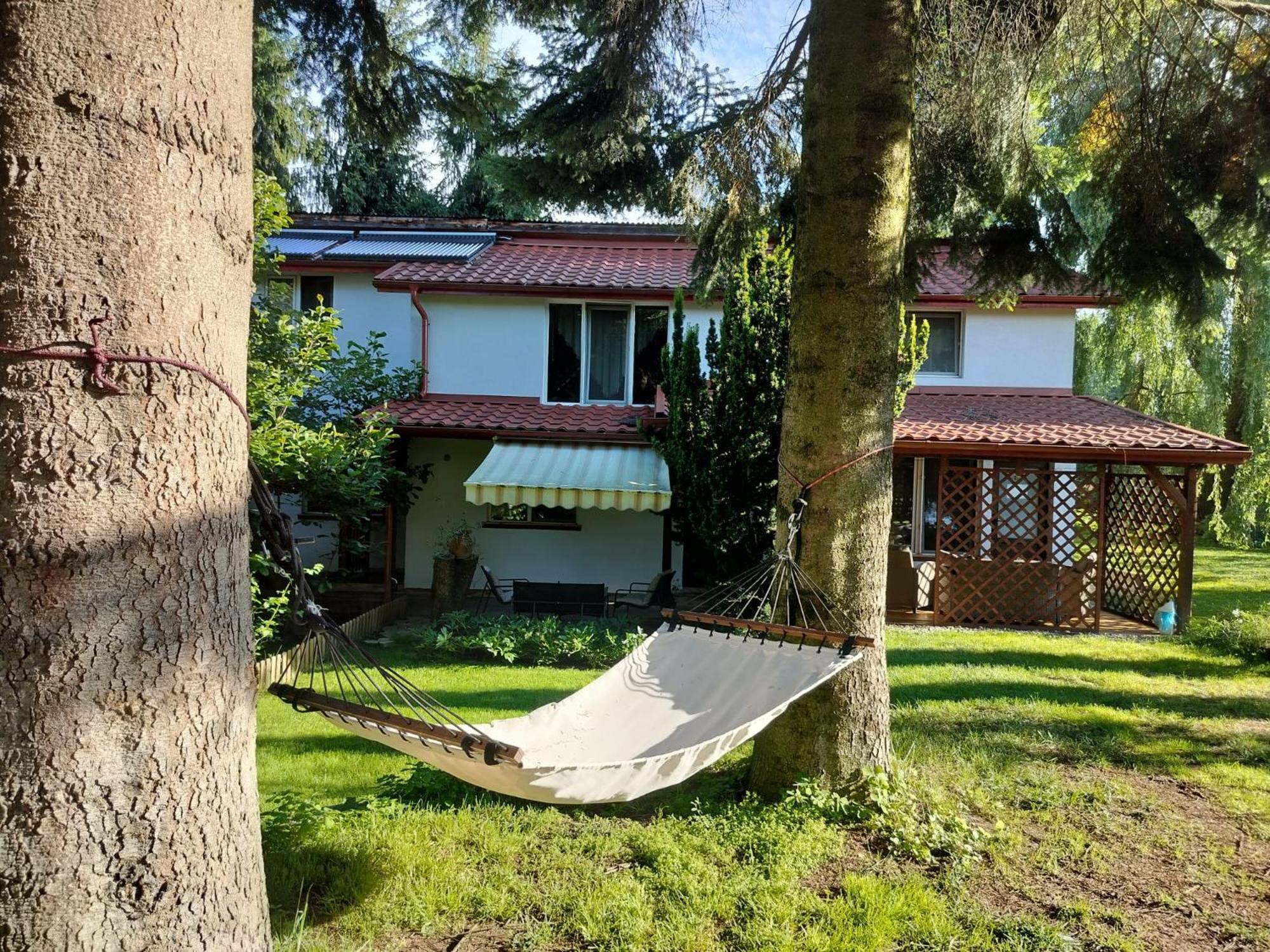 Pension Agnes Vişeu de Sus Exteriör bild